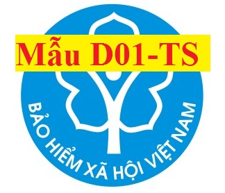 Mẫu D01-TS theo QĐ 595