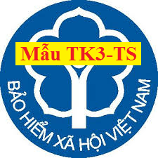 Mẫu TK3 - TS