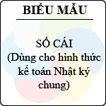 mẫu sổ cái theo hình thức nhật ký chung