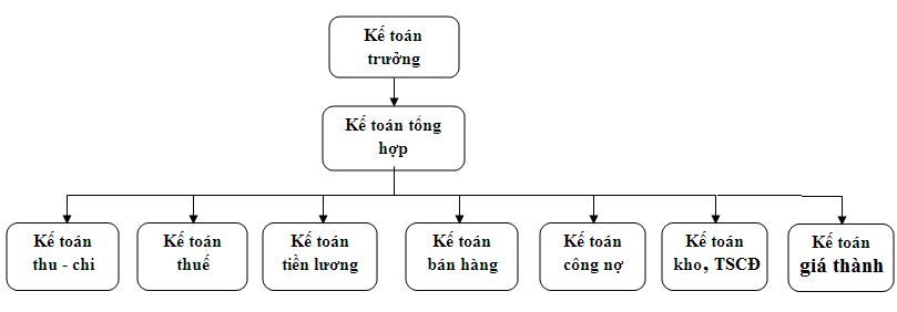 Sơ đồ bộ máy kế toán trong doanh nghiệp