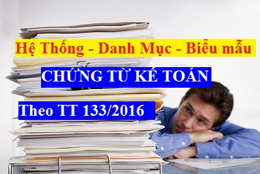 Hệ thống biểu mẫu chứng từ kế toán theo thông tư 133