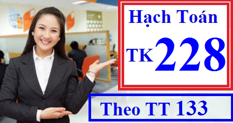 Hạch toán tài khoản 228 theo TT 133