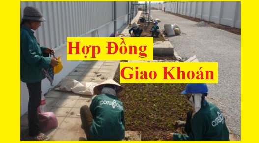 Hợp đồng giao khoán công việc