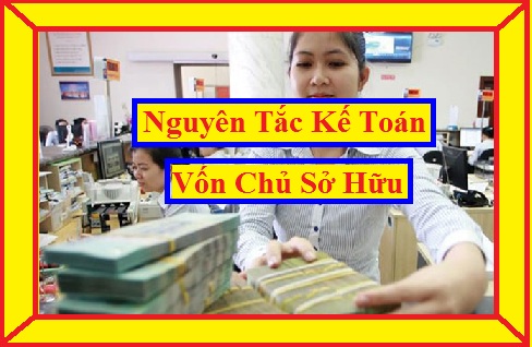 Nguyên tắc kế toán vốn chủ sở hữu