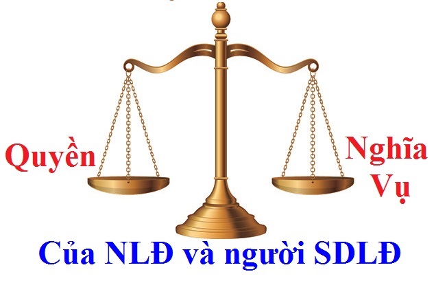 Quyền và nghĩa vụ của người lao động và người sử dụng lao động