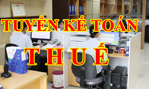 Tuyển kế toán thuế gấp