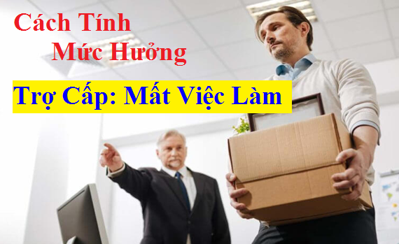 Trợ cấp mất việc làm